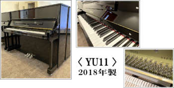 YU11(2023.5).png